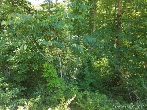 0 Shiloh Unity Road - Photo 1