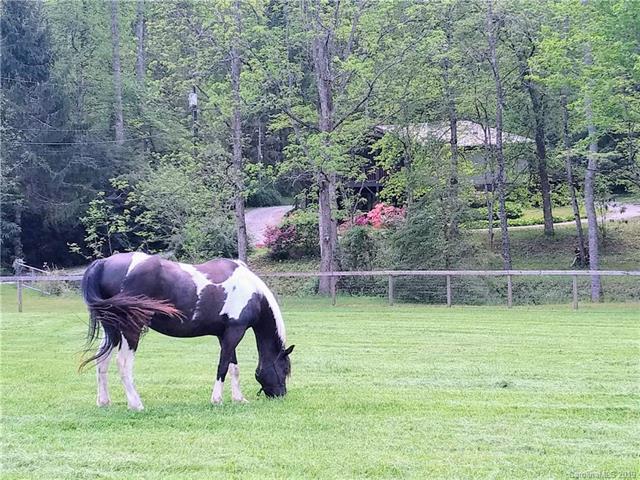 1197 Crab Creek Road - Photo 1
