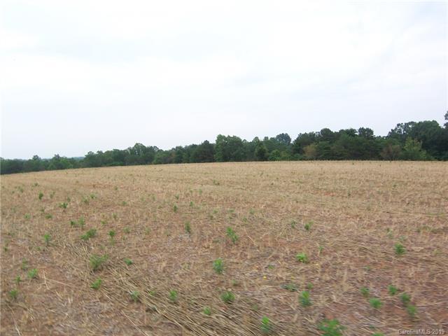 00 Jackson White Road - Photo 1