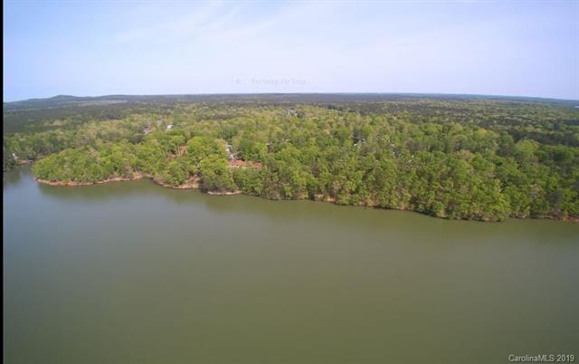 203 Landing Trail - Photo 1