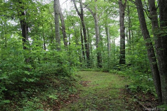 0 Forest Brook Drive - Photo 1