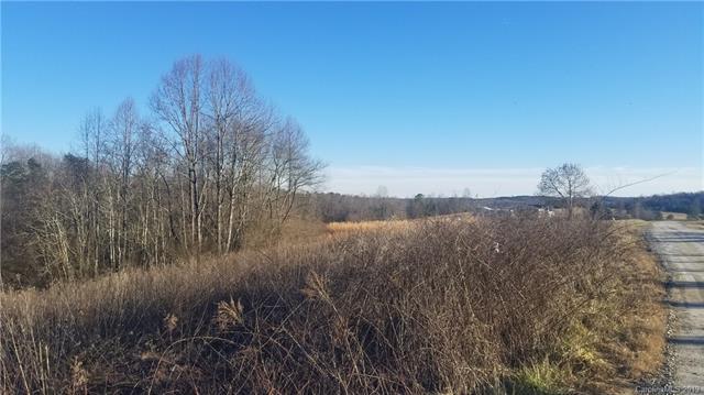 Lot 13 Buck Branch Road - Photo 1