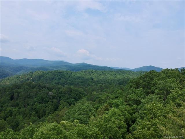 71 Turkey Trot Trail - Photo 1