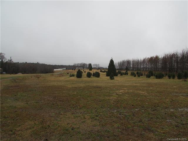 Lot 1 White Store Pageland Road - Photo 1