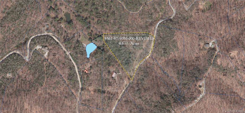 000 Line Runner Ridge Road - Photo 1