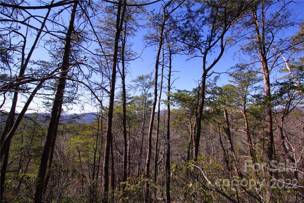 47&48 Round Mountain Road - Photo 1