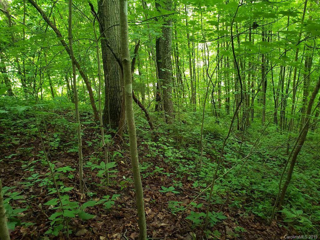 00 Ruffed Grouse Lane - Photo 1