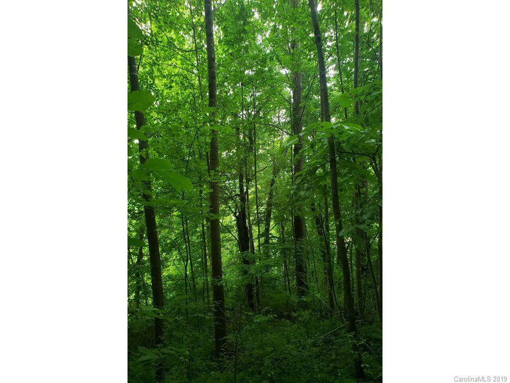 00 Ruffed Grouse Lane - Photo 1