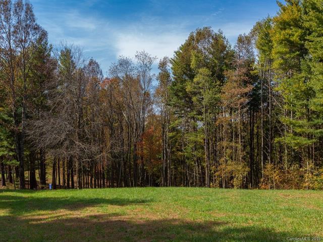 0 Dancing Bear Drive - Photo 1