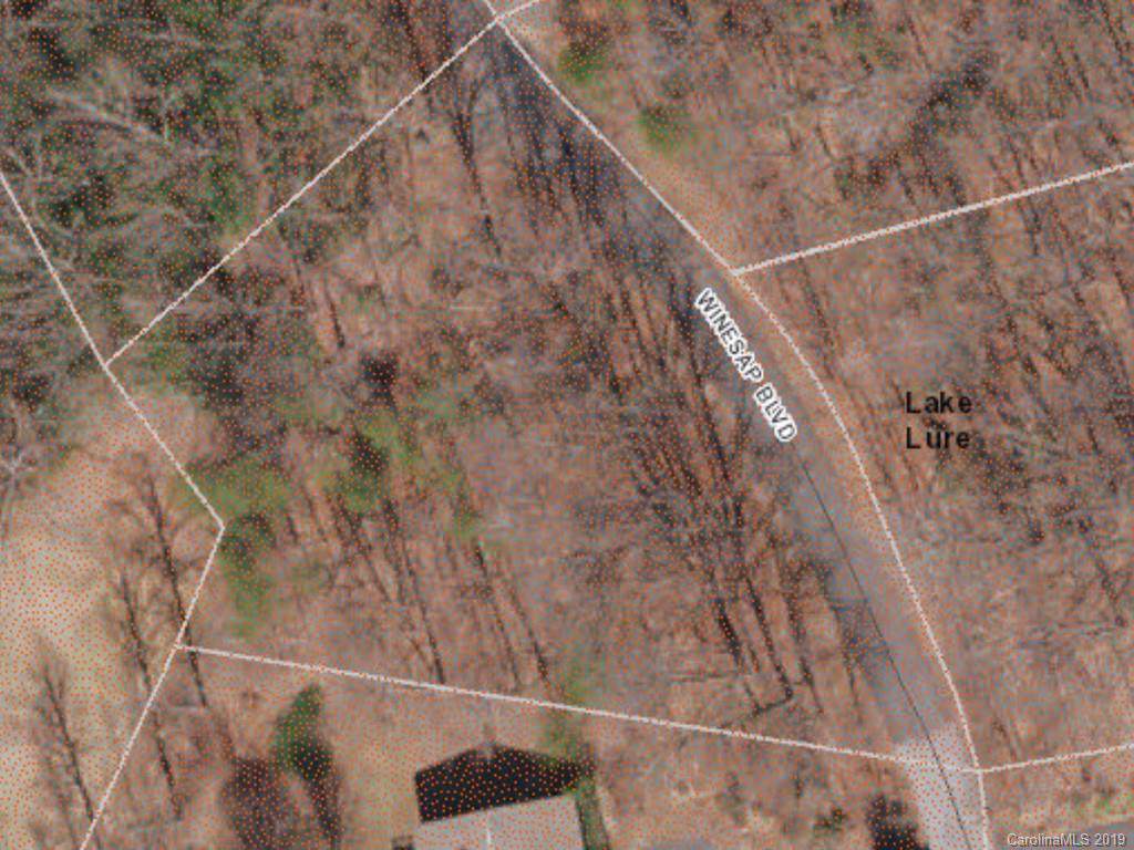 LOT 58 Winesap Boulevard - Photo 1
