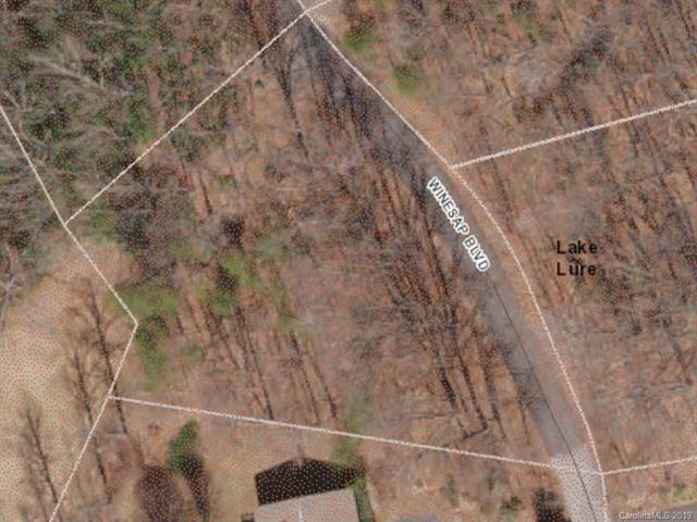 LOT 58 Winesap Boulevard - Photo 1