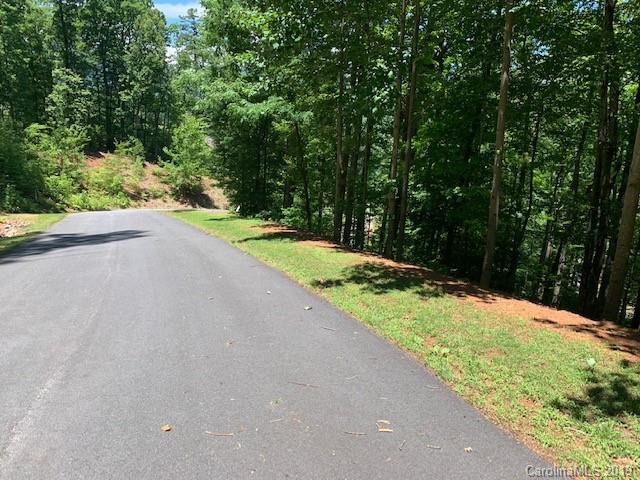 0000 Lost Trail - Photo 1