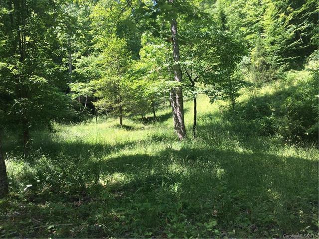 112 Running Creek Cove - Photo 1