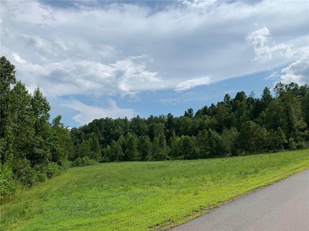 0 Low Country Road - Photo 1