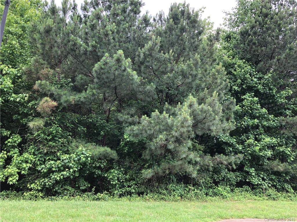 1577 Jack White Drive - Photo 1