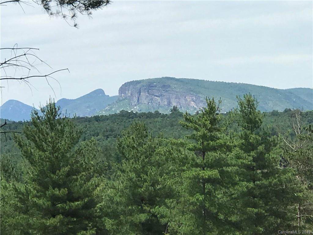 Lot 59 Gray Ridge View Drive - Photo 1