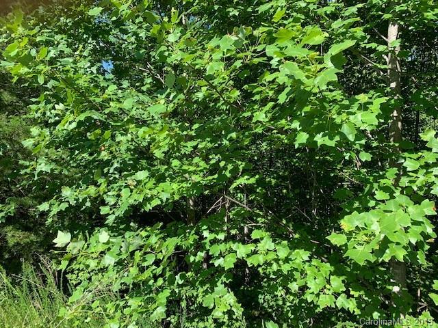 1717 Deep Gap Farm Road - Photo 1