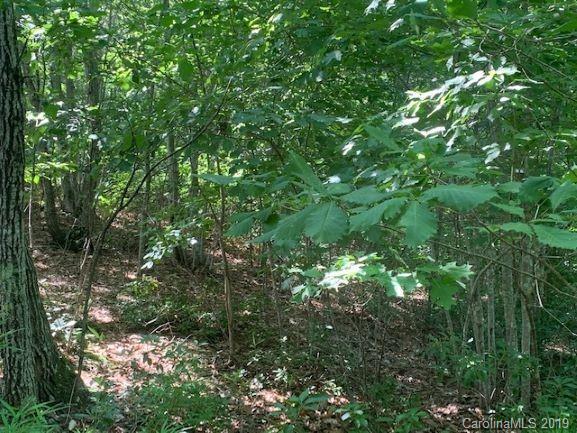 #0 Deep Gap Farm Road - Photo 1