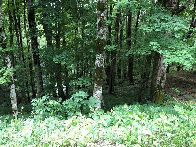 690 Oakridge Lane - Photo 1