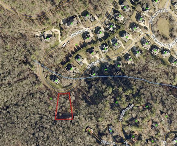 340 Mistletoe Trail - Photo 1