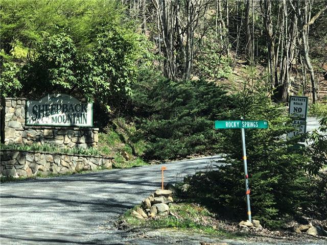 Lot 3 Sheepback Mountain Road - Photo 1 Lot 3 Sheepback Mountain Road - Photo 1
