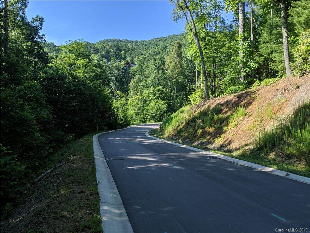 56 Old Greybeard Loop - Photo 1