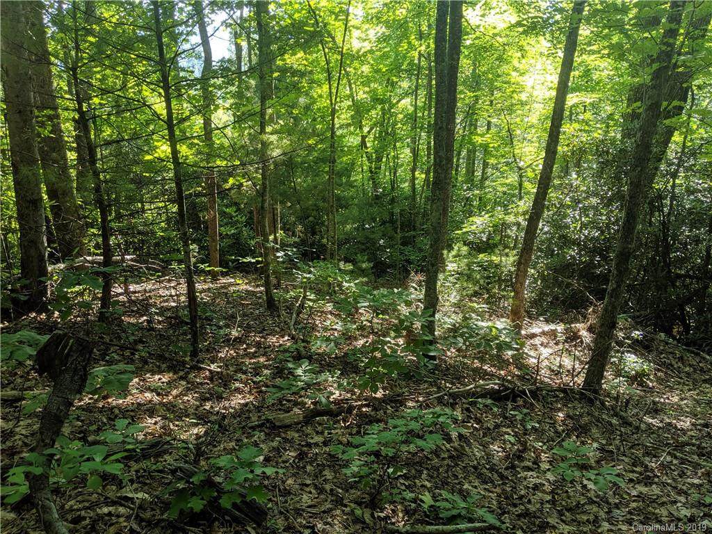 56 Old Greybeard Loop - Photo 1