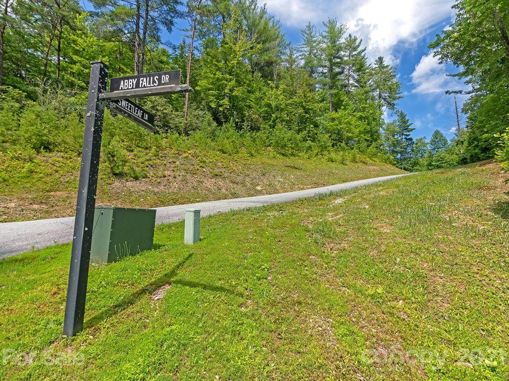 Lot 47 Sweetleaf Lane - Photo 1