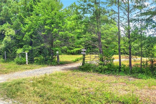 36.25Acres Wilson Chapel Road - Photo 1
