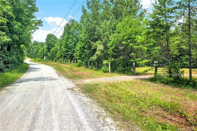 56.25 Acres Wilson Chapel Road - Photo 1