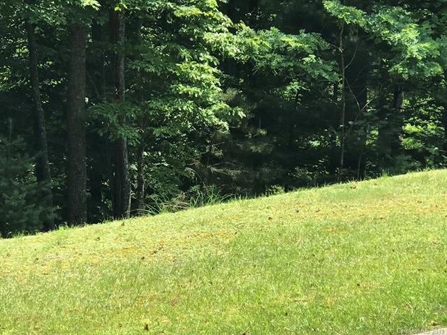 421 Mills River Way - Photo 1