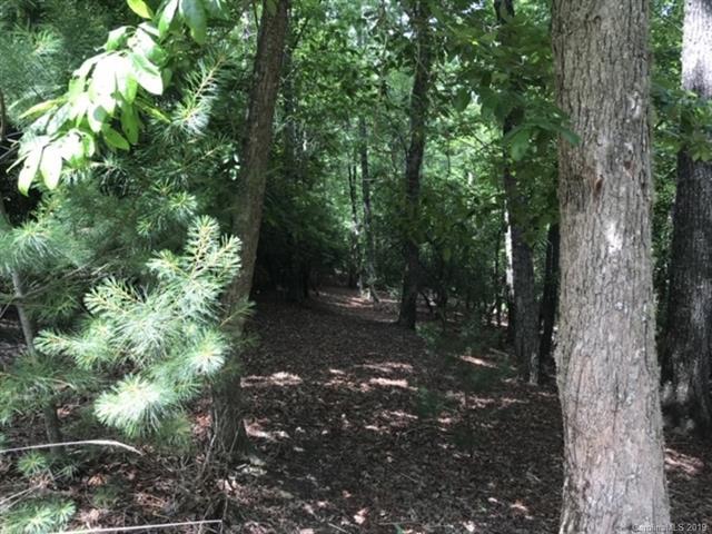 LOT 66 Shining Rock Path - Photo 1