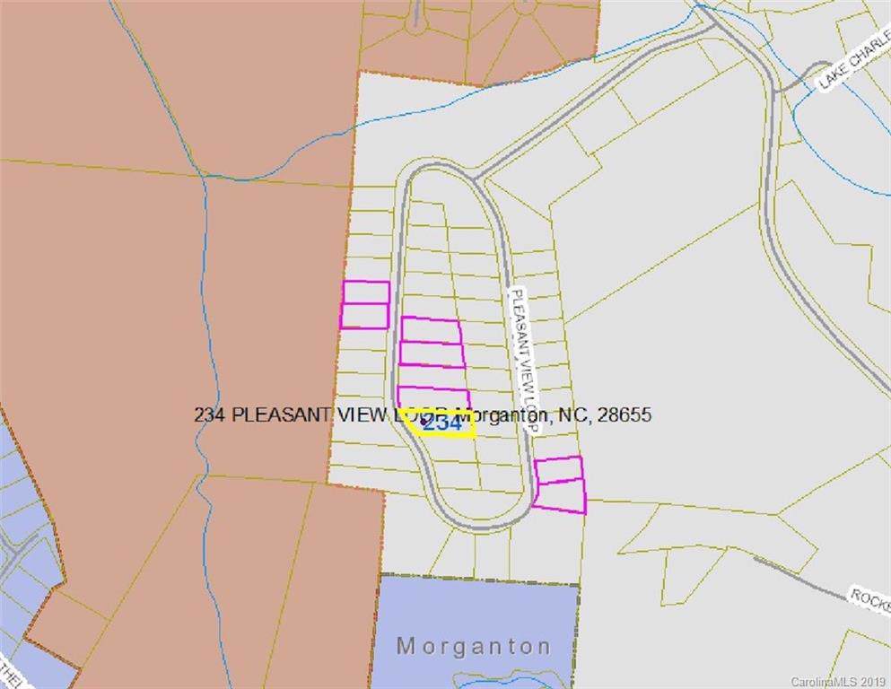 234 Pleasant View Loop - Photo 1