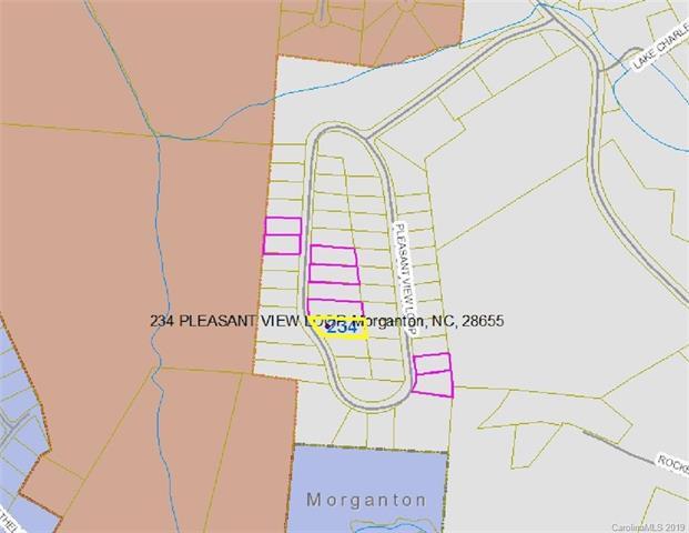 234 Pleasant View Loop - Photo 1