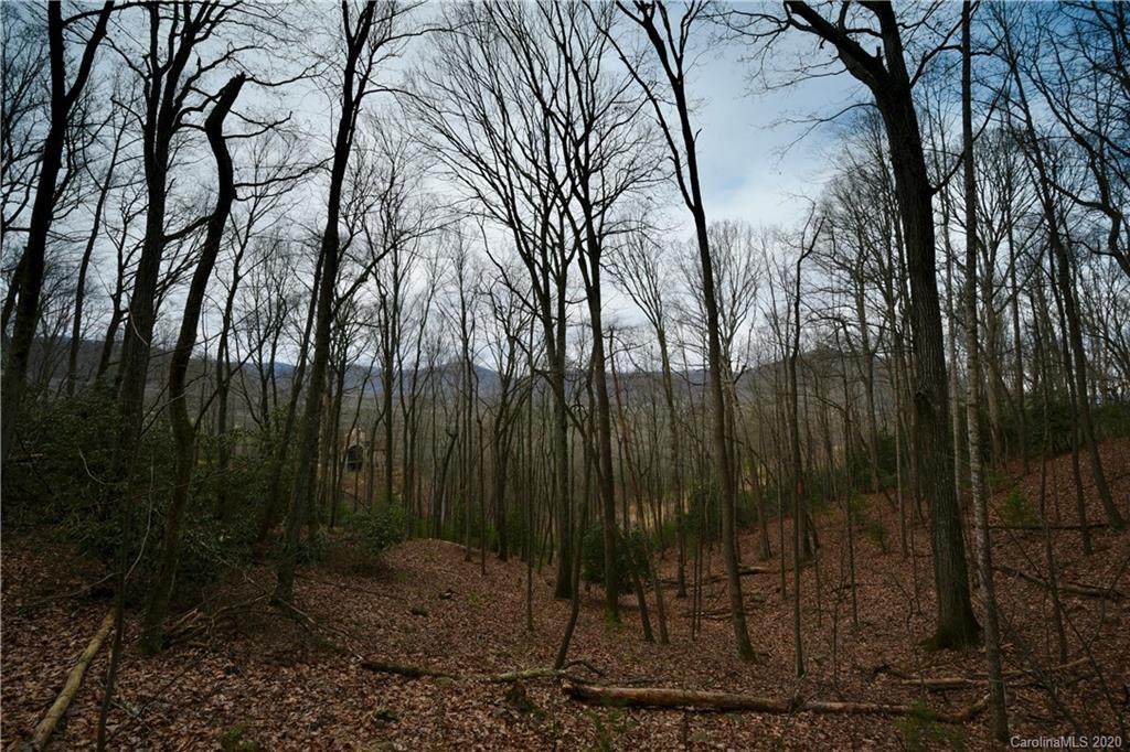 397 Stoneledge Trail - Photo 1