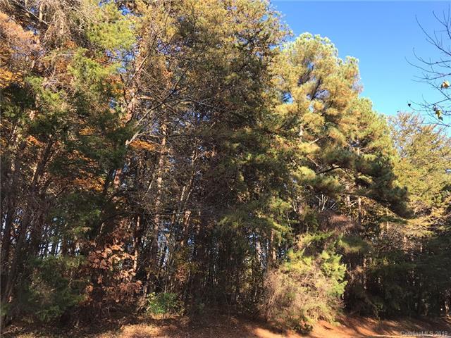 0 Fern Hill - Photo 1