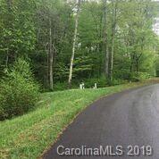 Lot 24 Linville River Lane - Photo 1