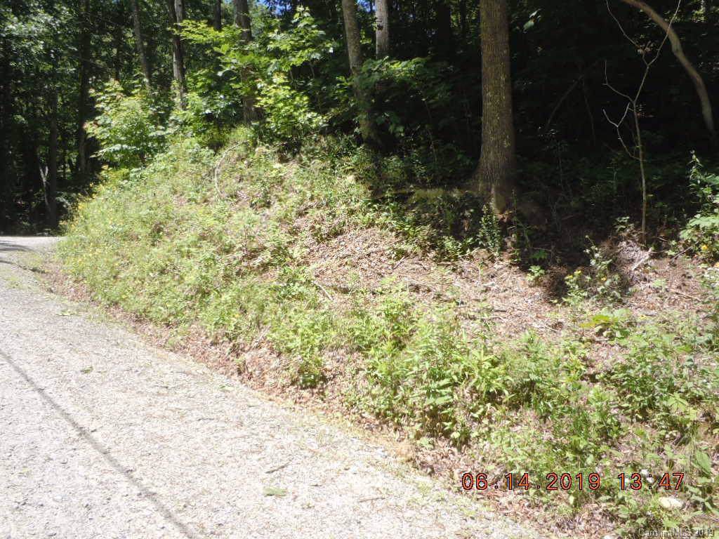00 Liner Creek Road - Photo 1