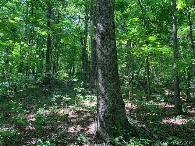 0000 Fawns Rest - Photo 1