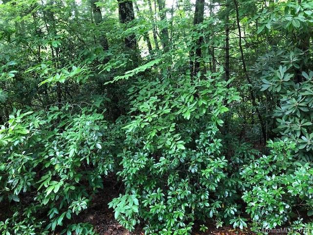 Lot 19 Sourwood Court - Photo 1