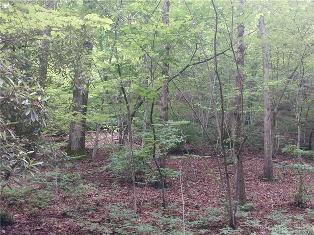 837 Laurel Mountain View Road - Photo 1