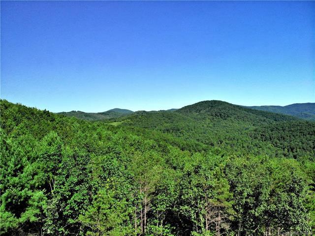 00 Poplar Valley Lane - Photo 1