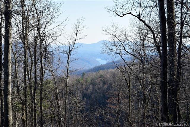 774 Mountain Laurel Drive - Photo 1