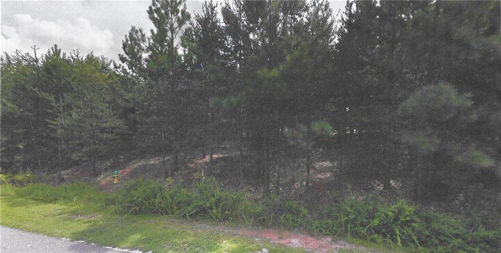 141 Priscilla Drive - Photo 1