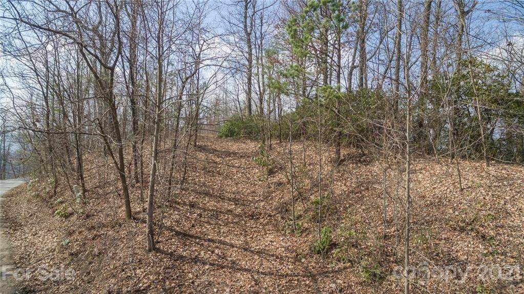 Lot 826 Wolf Pen Road - Photo 1