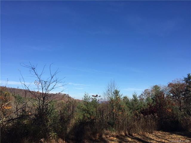 111 Horse Shoe Ridge Trail - Photo 1