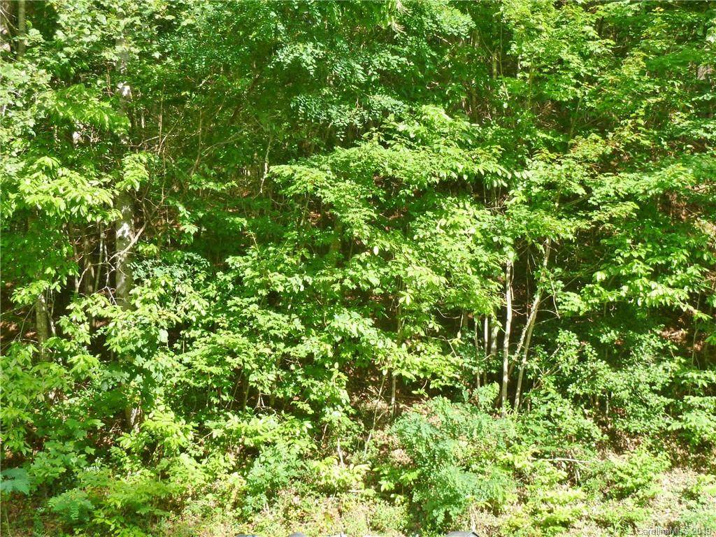 1232 Panther Creek Road - Photo 1