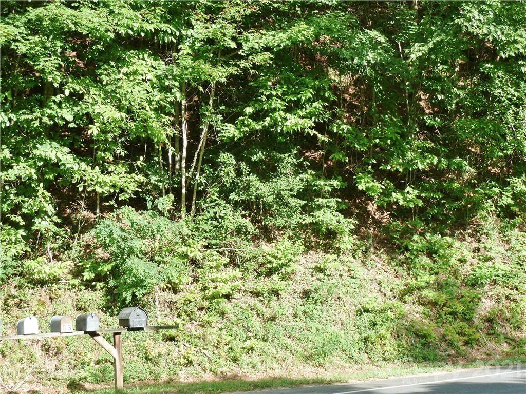 1232 Panther Creek Road - Photo 1
