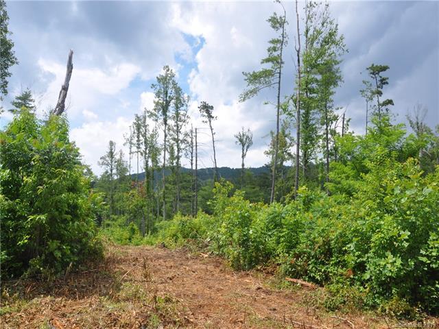 0 N Clear Creek Road - Photo 1
