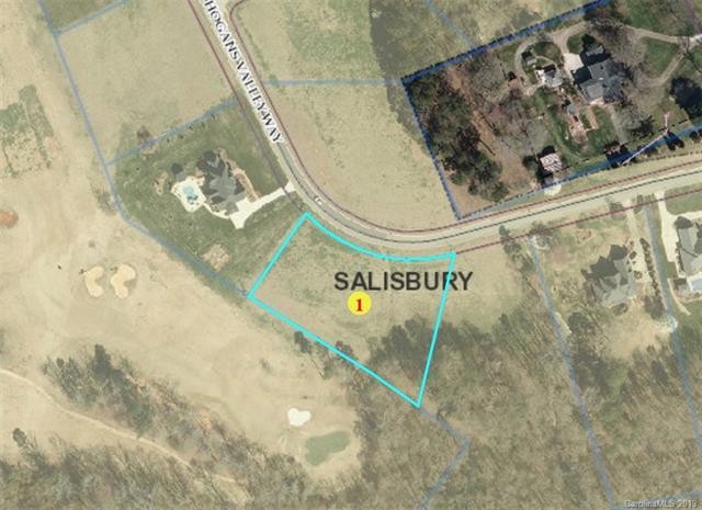 00 Hogans Valley Way - Photo 1